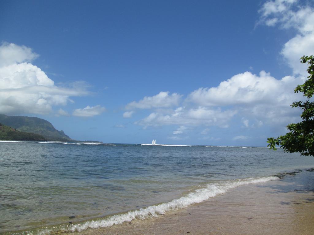 Princeville Sealodge Unit D-4 ห้อง รูปภาพ